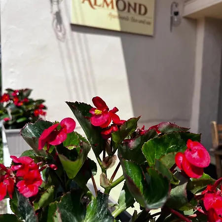 شقة فندقية Almond Sun And Sea 3*